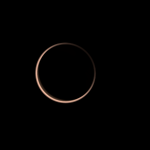 artist's rendition