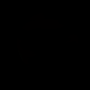 artist's rendition