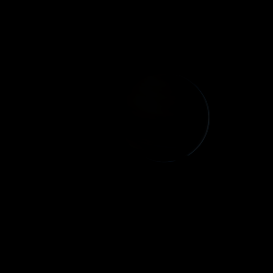 artist's rendition