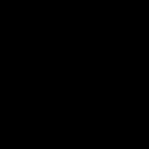 artist's rendition