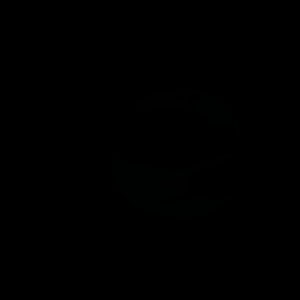 artist's rendition