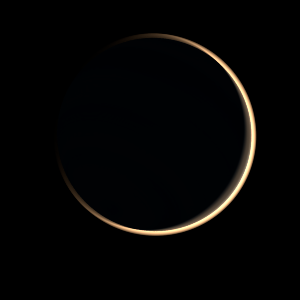 The artist's impression of HD 81688 b artist's rendition