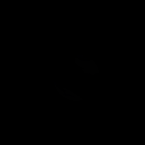 The artist's impression of K2-106 c artist's rendition