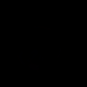 The artist's impression of K2-220 b artist's rendition