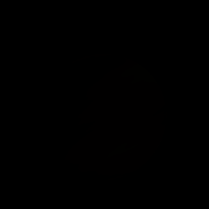 artist's rendition