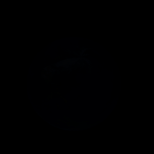 The artist's impression of K2-69 b artist's rendition