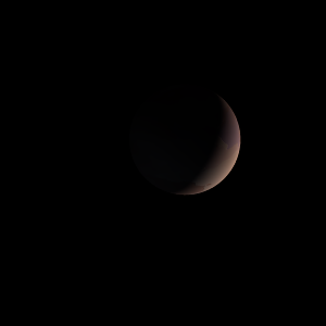 The artist's impression of Kepler-1007 Ab artist's rendition