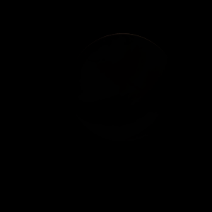 The artist's impression of Kepler-1214 Ab artist's rendition