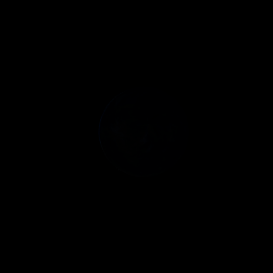 The artist's impression of Kepler-124 Ad artist's rendition