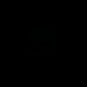 The artist's impression of Kepler-1642 b artist's rendition