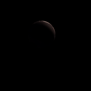 The artist's impression of Kepler-1725 Ab artist's rendition