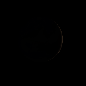 artist's rendition