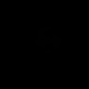 The artist's impression of Kepler-227 c artist's rendition
