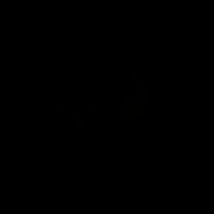 artist's rendition
