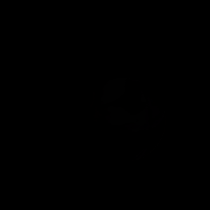 The artist's impression of Kepler-398 d artist's rendition