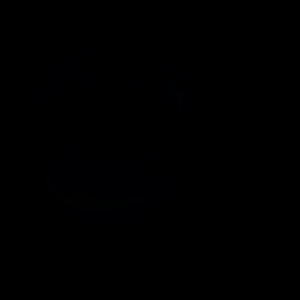artist's rendition