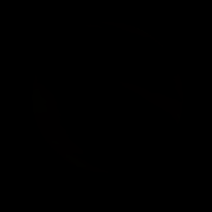 artist's rendition