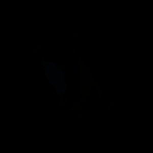 The artist's impression of MARVELS-6 b artist's rendition