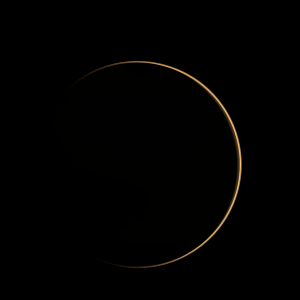 artist's rendition