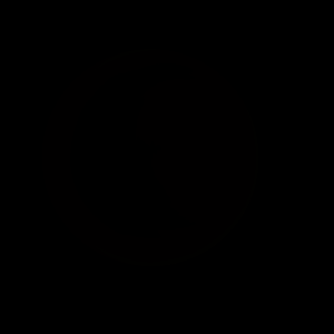 artist's rendition