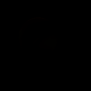 artist's rendition