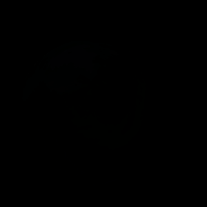 The artist's impression of TOI-406 c artist's rendition