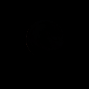 artist's rendition