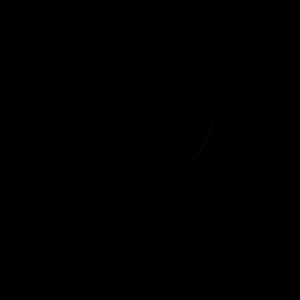 artist's rendition