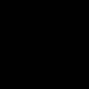 artist's rendition