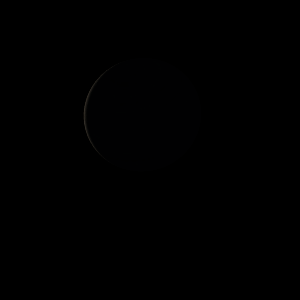 artist's rendition