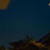 blood moon, blood moon, vesterbro, session581