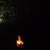 4567 forest fire at night, vestvolden, nat, flash, blitz, session250