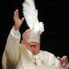 pope and pigeon, humor