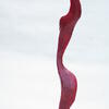  sculpture, sommer, københavn, kunst, session012